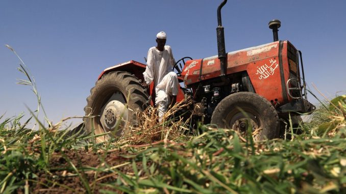 SUDAN-CLIMATE-AGRICULTURE