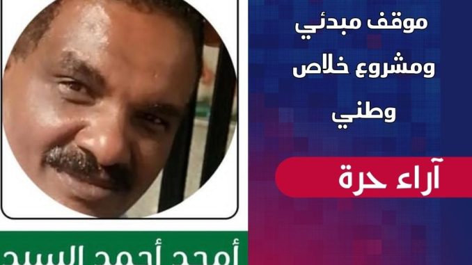 أمجد السيد